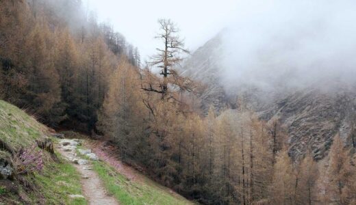 夫のこと、正直に書く。