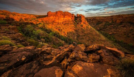 体調を崩した。無理をしていたのかもしれない。