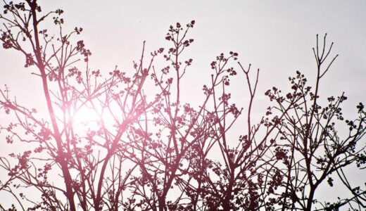 じゃあ　あんたが作ってみろよ