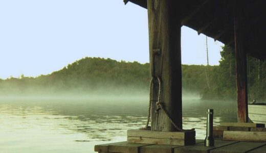 アルファードに乗りたいわけじゃない。でも車は必要だった。