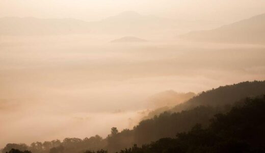 久しぶりに美容室に行った。それだけで少し自分に戻れた気がした。