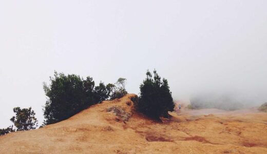 看護学校に行く前にまずは働く