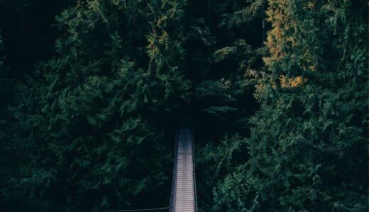 3連休、何もできなかった。それでいいと思うようにした。