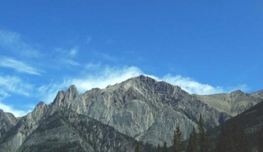 ブログのテーマを変えた。飾るのをやめることにした。