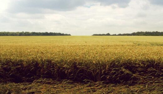 急に寒くなった。体がついていかない日もある。