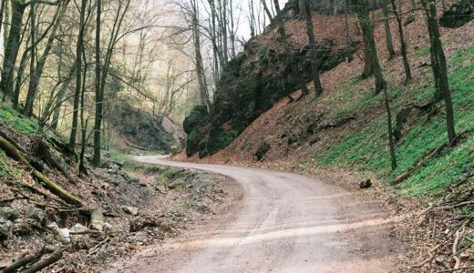 ドラフト会議を見ながら、夢ってなんだろうと考えた。