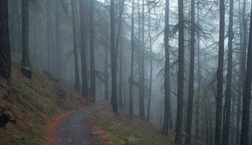 下のソーシャルリンクからフォロー